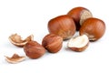 Hazelnut Shell