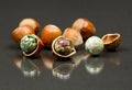 Hazelnut shell with brown - green faceted agate