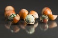 Hazelnut shell with brown - green faceted agate