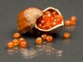 Hazelnut shell with carnelian faceted gems Royalty Free Stock Photo