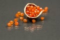 Hazelnut shell with carnelian faceted gems Royalty Free Stock Photo