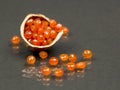 Hazelnut shell with carnelian faceted gems Royalty Free Stock Photo
