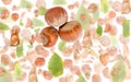 Hazelnut Slice and Leaf Abstract Royalty Free Stock Photo