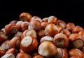 Hazelnut slide. Solid ripe hazelnuts on a black background
