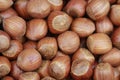 Hazelnut texture Royalty Free Stock Photo