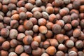 Shelled hazelnut texture Royalty Free Stock Photo