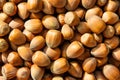 Hazelnut texture Royalty Free Stock Photo