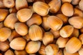 Hazelnut texture Royalty Free Stock Photo