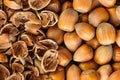 Hazelnut texture Royalty Free Stock Photo