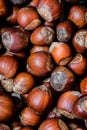 Hazelnut Texture Royalty Free Stock Photo