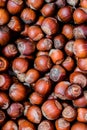 Hazelnut Texture Royalty Free Stock Photo