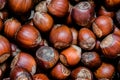 Hazelnut Texture Royalty Free Stock Photo