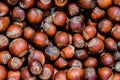 Hazelnut Texture Royalty Free Stock Photo