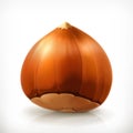 Hazelnut, vector icon Royalty Free Stock Photo