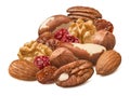 Hazelnut, walnut, almond, brazil nut, pecan, cranberry and raisin isolated on white background Royalty Free Stock Photo