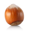 Hazelnut Royalty Free Stock Photo