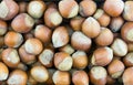 Hazelnut whole brown nut food background Royalty Free Stock Photo