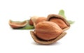 Hazelnuts Royalty Free Stock Photo
