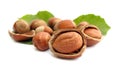 Hazelnuts Royalty Free Stock Photo