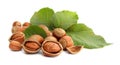Hazelnuts Royalty Free Stock Photo