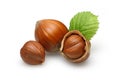 Hazelnuts Royalty Free Stock Photo