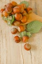 Hazelnuts abundance.Vegetable protein . Whole and shelled organic hazelnuts on a wooden table.Hazelnuts in rustic style