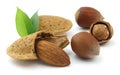 Hazelnuts and almond Royalty Free Stock Photo