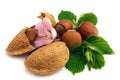 Hazelnuts and almond Royalty Free Stock Photo