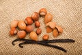 Hazelnuts,almond end vanilla Royalty Free Stock Photo