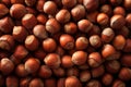 Hazelnuts background, close up Royalty Free Stock Photo