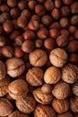 Hazelnuts background, close up Royalty Free Stock Photo