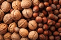 Hazelnuts background, close up Royalty Free Stock Photo