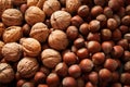Hazelnuts background, close up Royalty Free Stock Photo