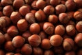 Hazelnuts background, close up Royalty Free Stock Photo