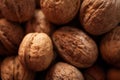 Hazelnuts background, close up Royalty Free Stock Photo