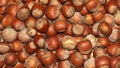 Hazelnuts. Hazelnuts background. Hazelnuts close-up view Royalty Free Stock Photo