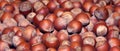 Hazelnuts. Hazelnuts background. Hazelnuts close-up view Royalty Free Stock Photo