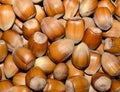 Hazelnuts background Royalty Free Stock Photo