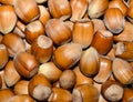 Hazelnuts background