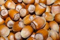 Hazelnuts background Royalty Free Stock Photo