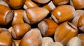 Hazelnuts background