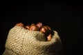 Hazelnuts in a bag Royalty Free Stock Photo