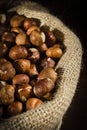 Hazelnuts in a bag Royalty Free Stock Photo