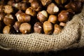 Hazelnuts in a bag Royalty Free Stock Photo