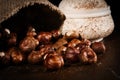 Hazelnuts in a bag Royalty Free Stock Photo