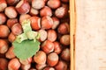 Hazelnuts in a basket on a wooden table.Nut abundance.Farmed organic hazelnuts.