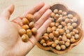 Hazelnuts in a bowl and in a man's hand Royalty Free Stock Photo