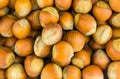 Hazelnuts brown whole hazel close-up with a shell close-up background pattern autumn theme base food