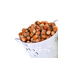 Hazelnuts in a bucket isolated on white. Free space for text Royalty Free Stock Photo