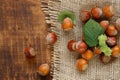 Hazelnuts on burlap. Fresh harvest of hazelnuts. Farmed ripe hazelnuts.